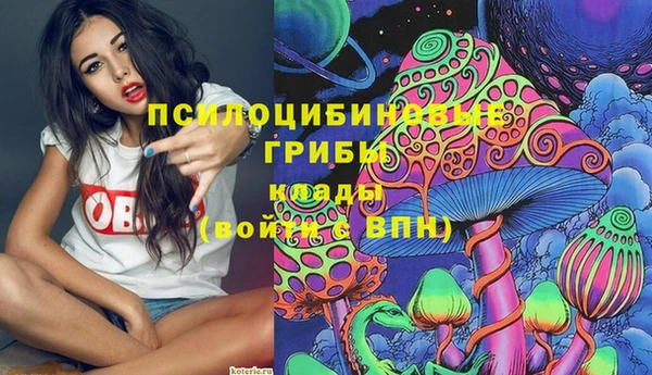 молекула духа Магадан